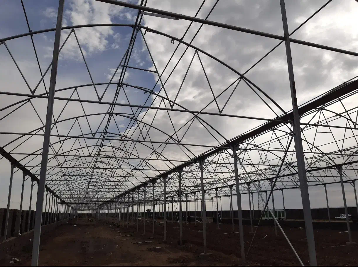 گلخانه فلزی