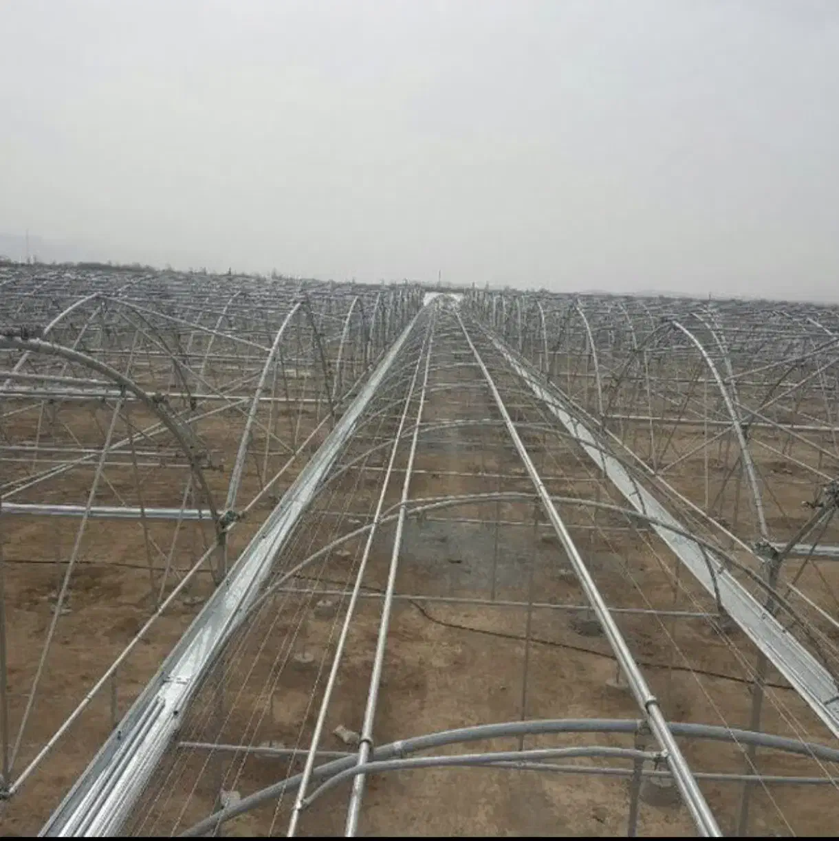 گلخانه فلزی