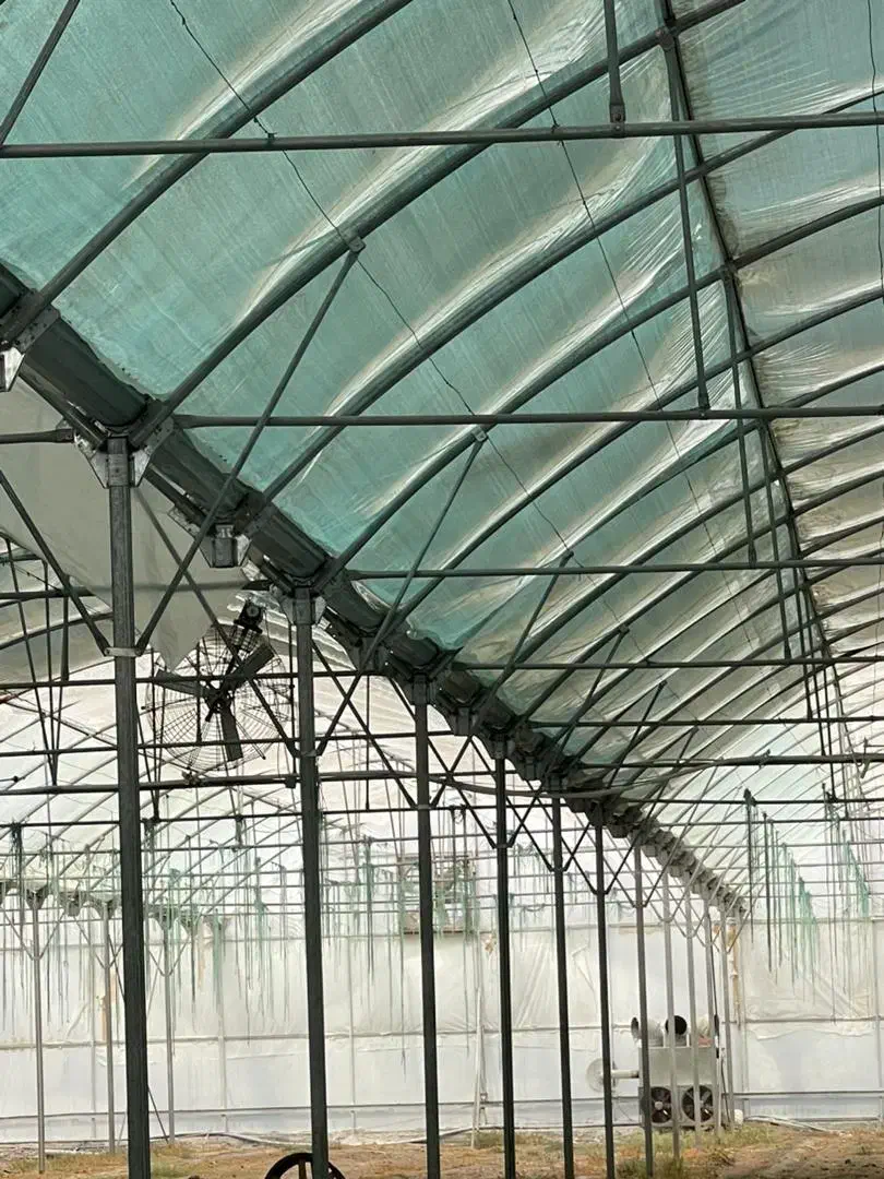 گلخانه فلزی