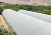 سازه گلخانه