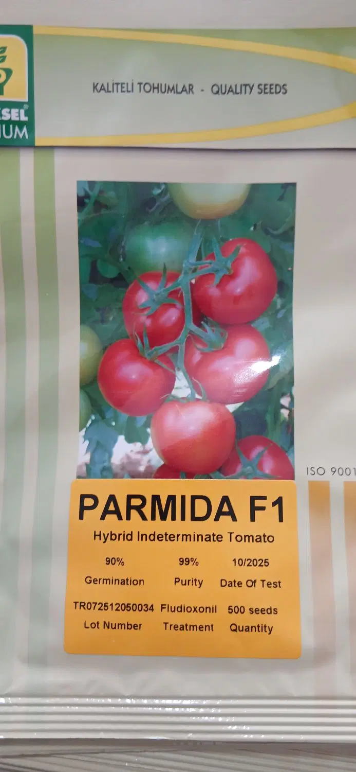 بذرخیار و گوجه گلخانه ای