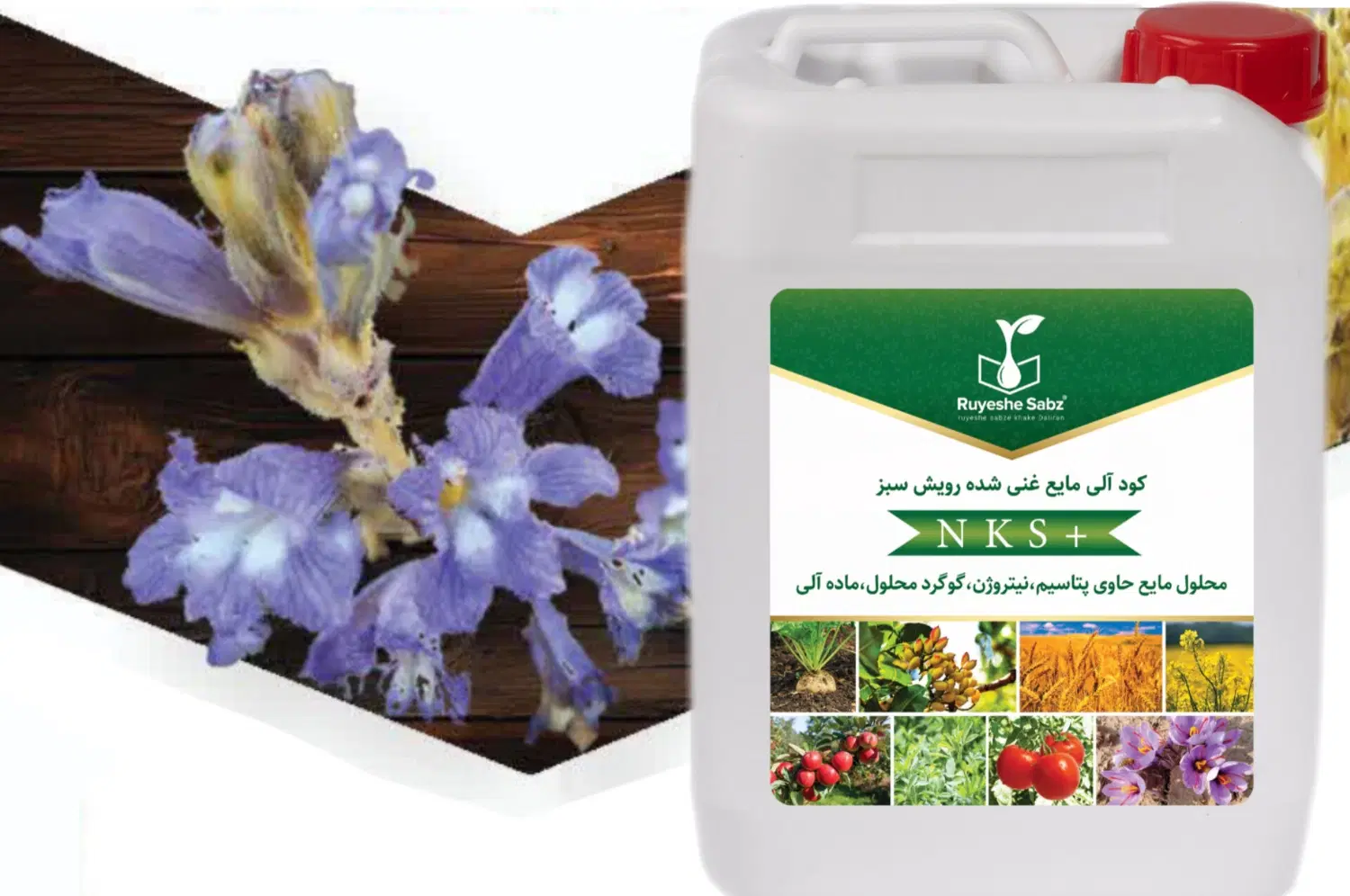 کود برتر درمان گل جالیز تا ۹۰درصد بدون سم