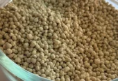 گوگرد گرانوله بنتونیت دار۷۵٪ مشهد(۲۵کیلویی)