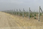خدمات باغبانی. فنس کشی. دیوار کشی. ساخت استخر